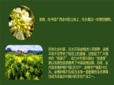 3.2推动高质量发展 课件-2023-2024学年高中政治统编版必修二经济与社会