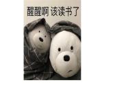 1.3 政党和利益集团 课件-2023-2024学年高中政治统编版选择性必修一当代国际政治与经济