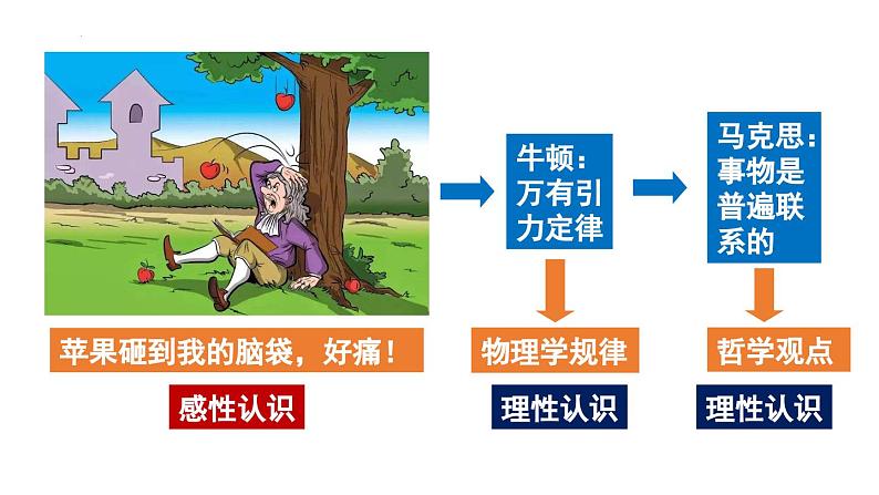 4.1 人的认识从何而来 课件-高中政治统编版必修四哲学与文化第5页