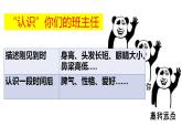 4.1人的认识从何而来 课件-2023-2024学年高中政治统编版必修四哲学与文化