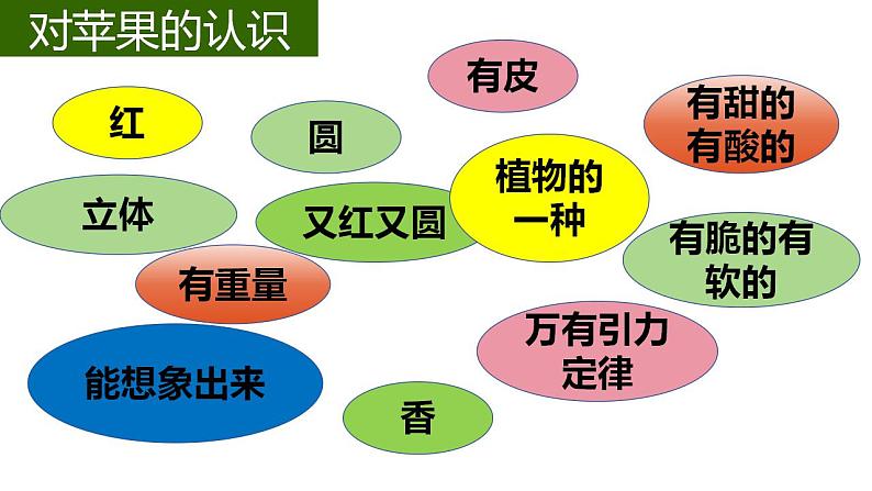 4.1人的认识从何而来 课件-2023-2024学年高中政治统编版必修四哲学与文化06