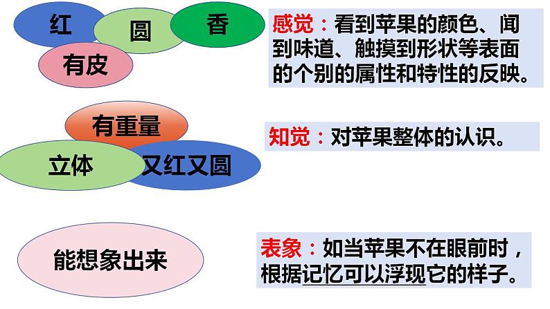 4.1人的认识从何而来 课件-2023-2024学年高中政治统编版必修四哲学与文化07