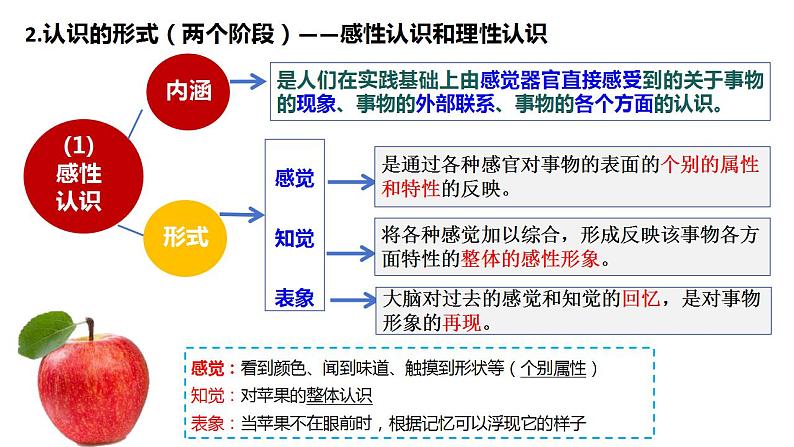 4.1人的认识从何而来 课件-2023-2024学年高中政治统编版必修四哲学与文化08