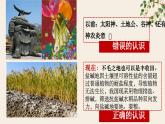4.2 在实践中追求和发展真理（课件）高二政治《哲学与文化》课件（统编版必修4）