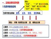 5.2正确运用简单判断课件-2023-2024学年高中政治统编版选择性必修三逻辑与思维