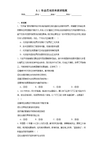 高中政治 (道德与法治)人教统编版必修4 哲学与文化社会历史的本质测试题