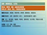 8.1 辩证思维的含义与特征 课件-2023-2024学年高中政治统编版选择性必修三逻辑与思维