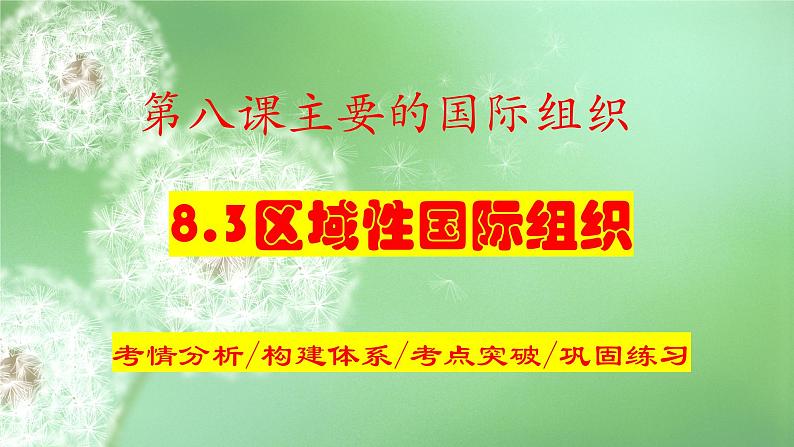 8.3 区域性国际组织  课件-2024届高考政治一轮复习统编版选择性必修一当代国际政治与经济01