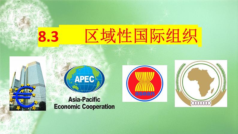 8.3 区域性国际组织  课件-2024届高考政治一轮复习统编版选择性必修一当代国际政治与经济05