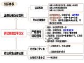 10.1正确行使诉讼权利课件-2023-2024学年高中政治统编版选择性必修二法律与生活