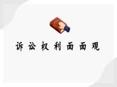10.1正确行使诉讼权利课件-2023-2024学年高中政治统编版选择性必修二法律与生活