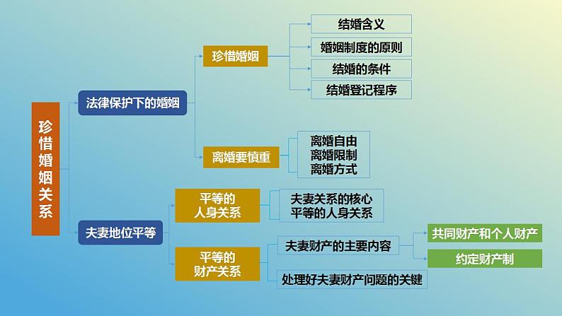 第六课 珍惜婚姻关系课件-2024届高考政治一轮复习统编版选择性必修二法律与生活第4页