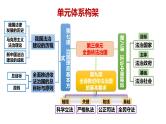 专题六 全面依法治国 课件-2024届高考政治二轮复习统编版必修三政治与法治
