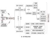 政治与法治 思维结构导图课件-2024届高考政治二轮复习统编版必修三政治与法治