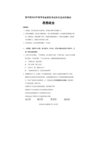 2024届贵州省高三下学期4月适应性考试政治试题