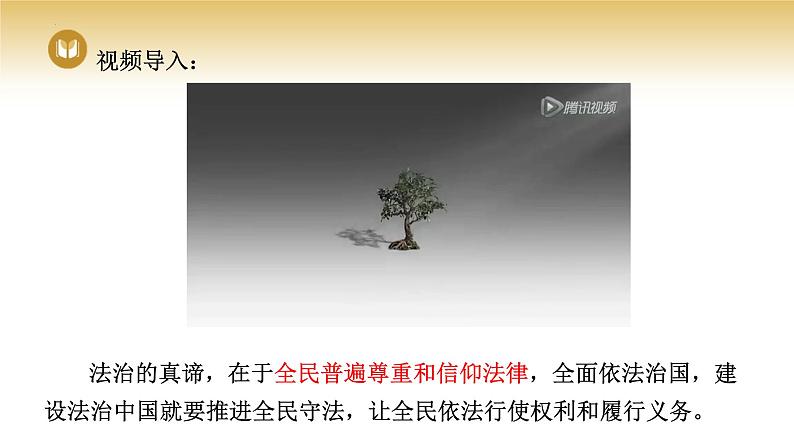 2023-2024学年高中政治统编版必修三政治与法治：9.4全民守法 课件第2页