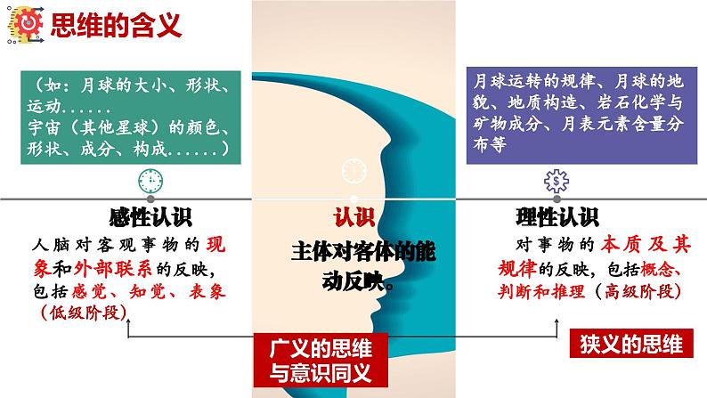 1.1思维的含义与特征（课件）-2023-2024学年高二政治（统编版选择性必修3）06