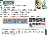 4.2 明确概念的方法-2023-2024学年高二政治课件（统编版选择性必修3）