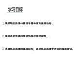 6.3 复合判断的演绎推理方法2023-2024学年高二政治教学示范课课件（统编版选择性必修3）