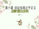 10.1 正确行使诉讼权利 课件-2023-2024学年高中政治统编版选择性必修二法律与生活