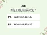 10.1 正确行使诉讼权利 课件-2023-2024学年高中政治统编版选择性必修二法律与生活