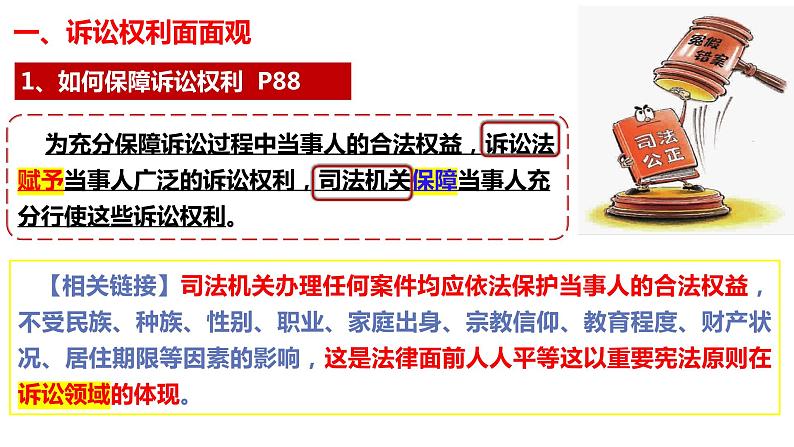 10.1 正确行使诉讼权利2023-2024学年高二政治同步教学优质课件（统编版选择性必修2）第3页