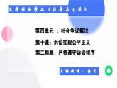 10.2严格遵守诉讼程序课件   高二政治同步备课系列（统编版选择性必修2）