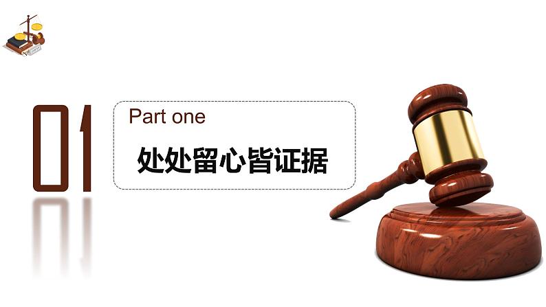 10.3依法收集运用证据 课件   2023-2024学年 选择性必修2法律与生活第3页