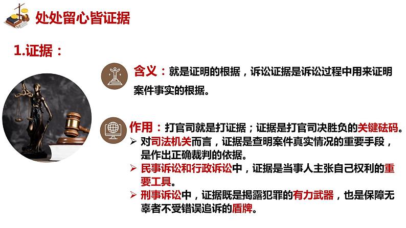 10.3依法收集运用证据 课件   2023-2024学年 选择性必修2法律与生活第5页