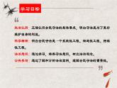 9.4  全民守法课件-2023-2024学年高中政治统编版必修三政治与法治