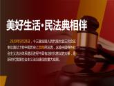2023-2024学年高中政治统编版选择性必修二法律与生活：10.3 依法收集运用证据 课件