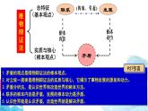 3.3 唯物辩证法的实质与核心  课件-2023-2024学年高中政治统编版必修四哲学与文化