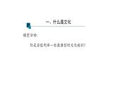 7.1 文化的内涵与功能  课件-2023-2024学年高中政治统编版必修四哲学与文化(1)