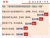 5.3正确运用复合判断课件-2023-2024学年高中政治统编版选择性必修三逻辑与思维(2)