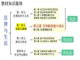 5.1 家和万事兴 课件-2023-2024学年高中政治统编版选择性必修二法律与生活