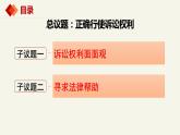 10.1正确行使诉讼权利 课件-2023-2024学年高中政治统编版选择性必修二法律与生活