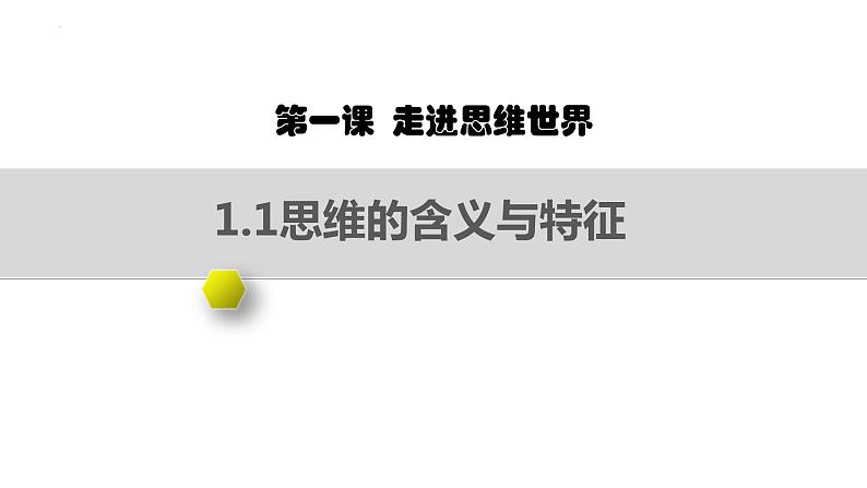 1.1 思维的含义与特征 课件-高中政治统编版选择性必修三逻辑与思维04