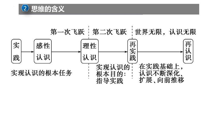 1.1 思维的含义与特征 课件-高中政治统编版选择性必修三逻辑与思维08