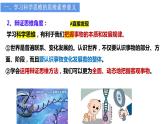 3.2学习科学思维的意义课件-高中政治统编版选择性必修三逻辑与思维