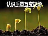 9.1认知质量互变规律课件-高中政治统编版选择性必修三逻辑与思维