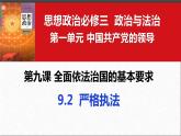 9.2 严格执法 课件- 高中政治统编版必修三政治与法治 (2)