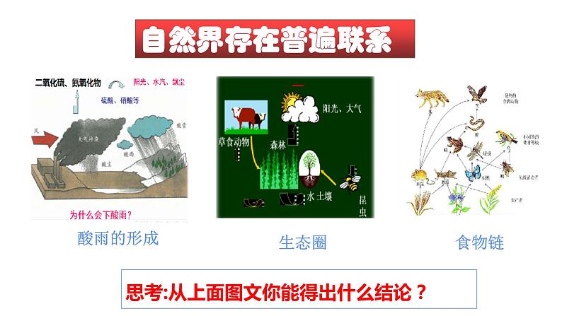 3.1世界是普遍联系的 课件-2023-2024学年高中政治统编版必修四哲学与文化08