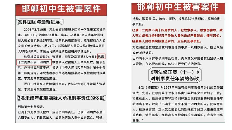 7.2 全面推进依法治国的总目标与原则 课件-2023-2024学年高中政治统编版必修三政治与法治第6页