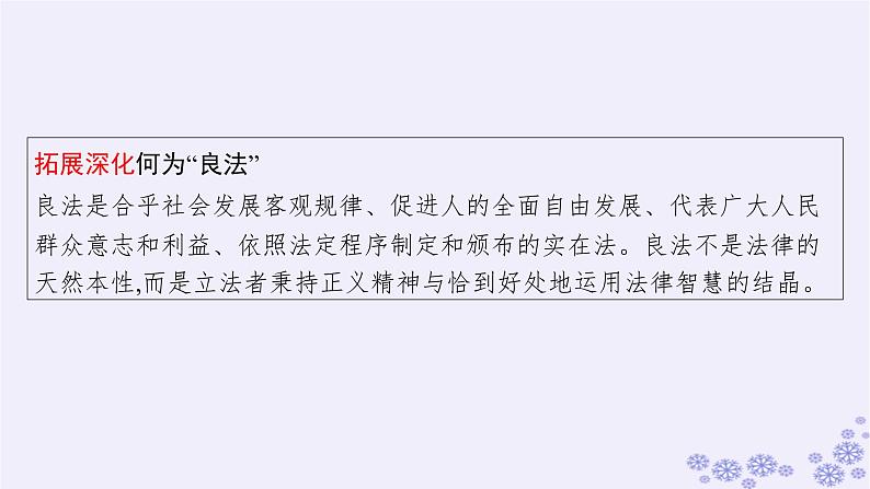 2025届高考政治一轮总复习必修3第8课法治中国建设课件06