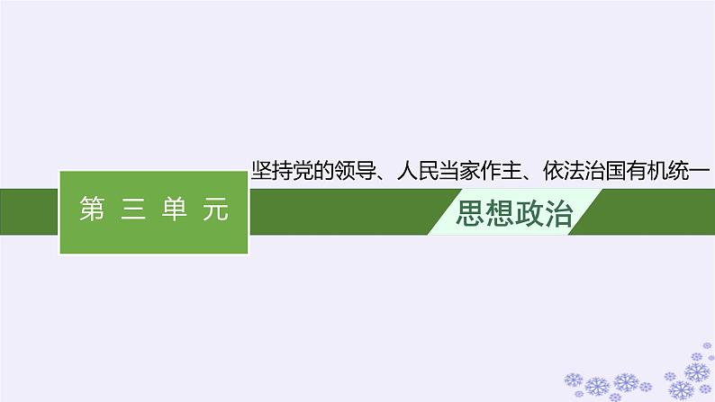 2025届高考政治一轮总复习必修3综合探究坚持党的领导人民当家作主依法治国有机统一课件01