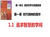 1.1 追求智慧的学问 课件-2023-2024学年高中政治统编版必修四哲学与文化