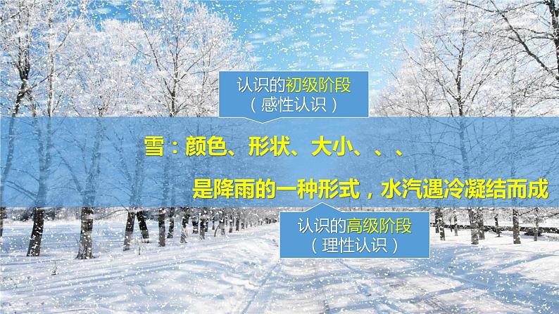 4.1 人的认识从何而来 课件-2023-2024学年高中政治统编版必修四哲学与文化04