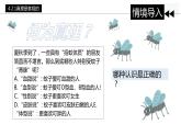 4.2 在实践中追求和发展真理 课件 高中政治必修4哲学与文化  统编版