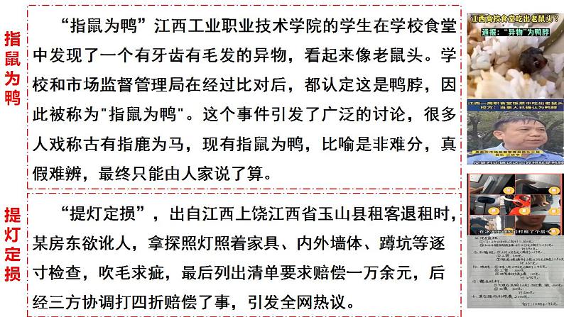 9.2 严格执法 课件-2023-2024学年高中政治统编版必修三政治与法治第6页