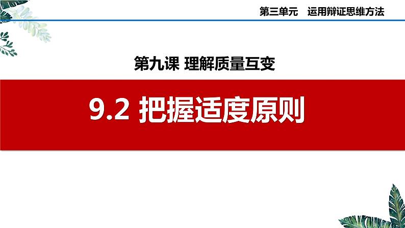 9.2 把握适度原则  课件 高中政治选择性必修3逻辑与思维 统编版第2页